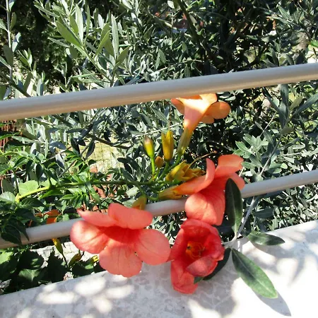 Apartament Kiara