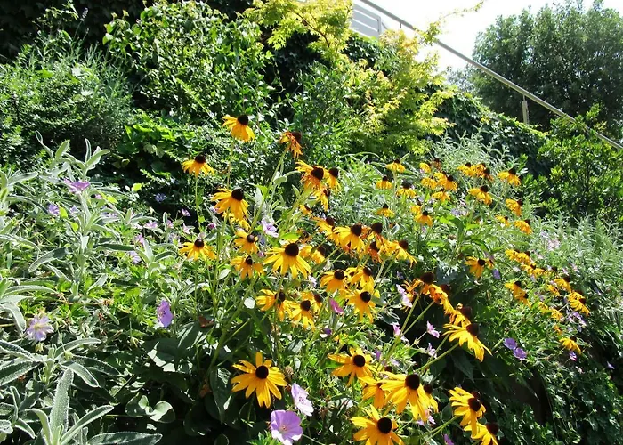 公寓 Kiara